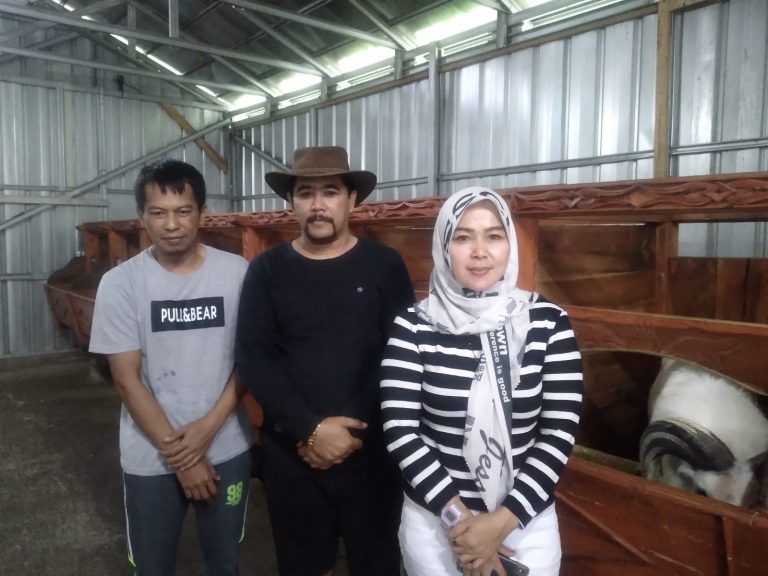 H. Alan Partimbang Kunjungi Peternak Domba Garut
