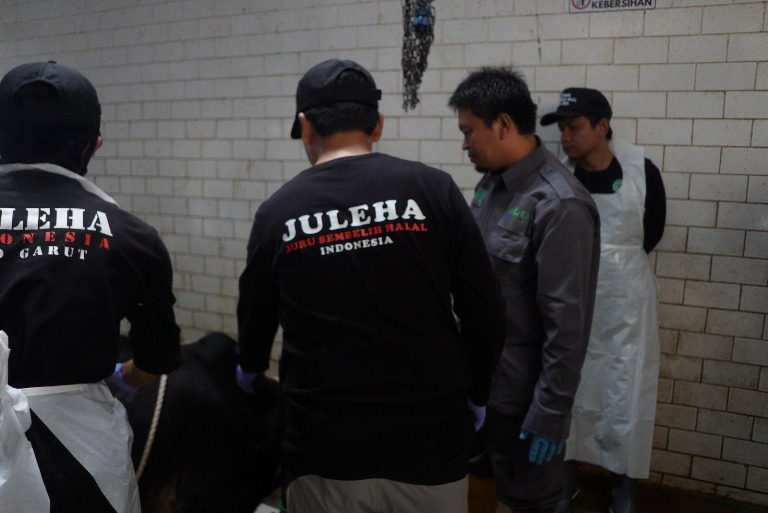 Jelang Idul Adha 1444 H JULEHA Perlu Memahami Karakter Hewan Saat Disembelih