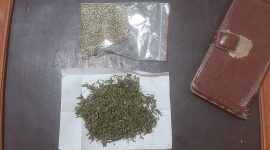 Caption : Ganja yang di temukan Polsek Leles di rumah warga