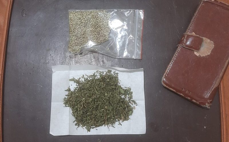 Caption : Ganja yang di temukan Polsek Leles di rumah warga