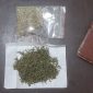 Caption : Ganja yang di temukan Polsek Leles di rumah warga