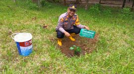 Caption : kapolsek Samarang tengah menanam pohon di lokasi hutan lindung