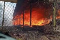 Caption : Gudang kayu di Pakemitan terbakar