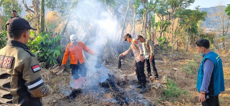 Caption : Kapolsek Tarogong Kidul saat padamkan api di lahan gunung putri