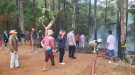 Caption : Polsek Limbangan bersama damkar garut padamkan api hutan pinus