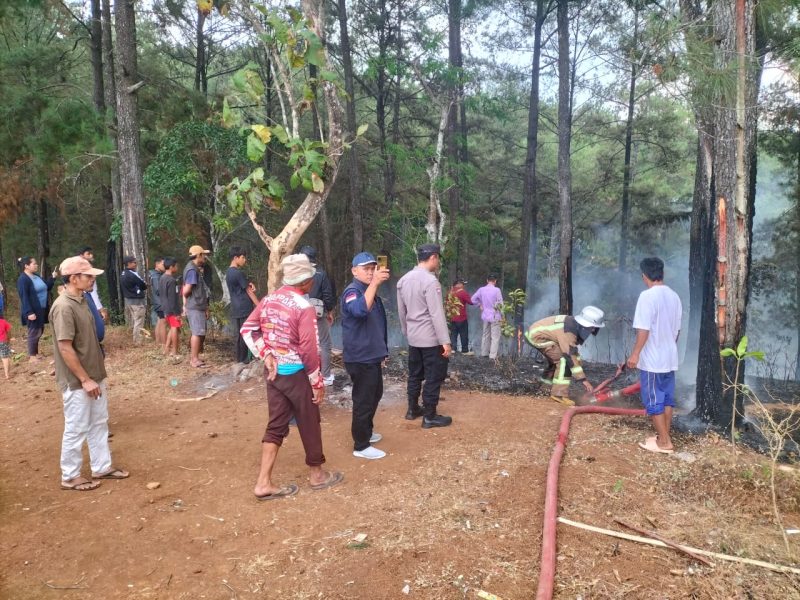 Caption : Polsek Limbangan bersama damkar garut padamkan api hutan pinus