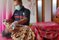 Polsek Talegong Polres Garut bersama Pustu Desa Sukalaksana di lokasi segera dilakukan olah tkp dan evakuasi, namun naas pihak kesehatan mengkonfirmasi bahwa korban dinyatakan meninggal dunia di lokasi.