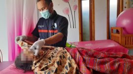 Polsek Talegong Polres Garut bersama Pustu Desa Sukalaksana di lokasi segera dilakukan olah tkp dan evakuasi, namun naas pihak kesehatan mengkonfirmasi bahwa korban dinyatakan meninggal dunia di lokasi.