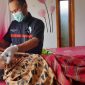 Polsek Talegong Polres Garut bersama Pustu Desa Sukalaksana di lokasi segera dilakukan olah tkp dan evakuasi, namun naas pihak kesehatan mengkonfirmasi bahwa korban dinyatakan meninggal dunia di lokasi.