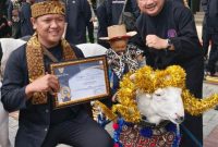 Pemerintah Kabupaten Garut kini berupaya keras melestarikan genetik Domba Garut. Salah satunya dilakukan dengan memasang chip guna memantau keturunan domba Garut. Langkah konkret ini dengan melibatkan pembangunan kawasan pelestarian sumber genetik domba Garut.