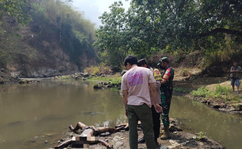 Kapolres Garut AKBP Rohman Yonky Dilatha, S.I.K, M.Si, melalui Kasat Reskrim Polres Garut AKP Ari Rinaldo, S.H, M.M, mengkonfirmasi jika mayat tersebut adalah 