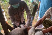 Warga Kampung Tegal Pasir Desa Selaawi Kecamatan Talegong dikejutkan oleh peristiwa bunuh diri, Minggu (12/11/2023).