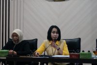 Sejumlah artis ternama Indonesia akan turut memeriahkan acara Karnaval SCTV sebagai bagian dari rangkaian paturay tineung Rudy-Helmi, yang akan menutup kepemimpinan mereka sebagai Bupati dan Wakil Bupati Garut Periode 2019-2024.