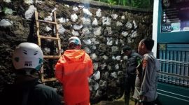 Dalam rangka mengantisipasi fenomena bencana alam dan upaya penanganan mitigasi, Polres Garut beserta Polsek jajaran melaksanakan patroli mitigasi bencana alam dan bersiaga dalam penanganan bencana alam di Kabupaten Garut.
