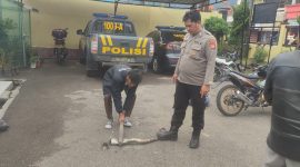 Dalam rangka pemeliharaan kamtibmas dan menciptakan situasi keamanan dan ketertiban masyarakat yang kondusif.  Polsek Leles Polres Garut melaksanakan operasi penertiban knalpot bising di Wilayah hukum Polres Garut. Jum’at (01/12/2023).