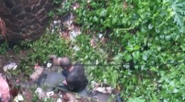 Warga Tasikmalaya lakukan percobaan bunuh diri lompat dari jembatan di Malangbong