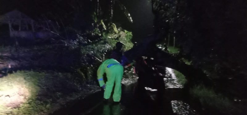 Polsek Wanaraja Polres Garut Evakuasi pohon tumbang