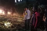 Jalur Provinsi Malangbong-Wado tertutupi pohon besar yang tumbang