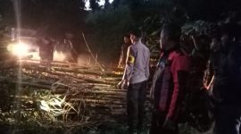 Jalur Provinsi Malangbong-Wado tertutupi pohon besar yang tumbang
