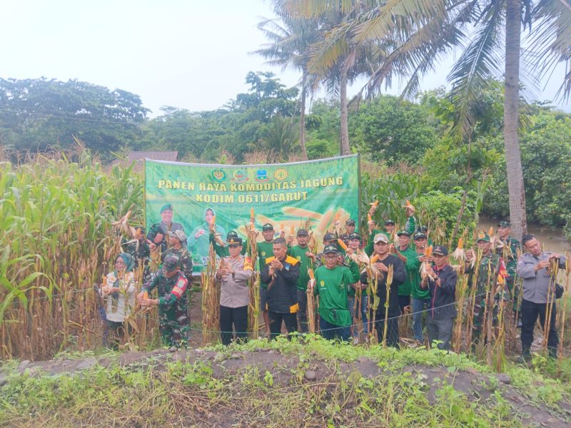Koramil 1121/Bungbulan dan Poktan Desa Cijayana Papen Raya Jagung Hibrida