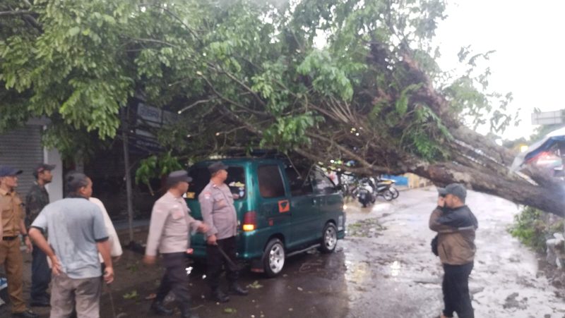 Polsek Cibatu bantu evakuasi pohon tumbang menimpa roda empat