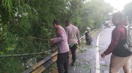 3 personil evakuasi pohon tumbang yang menutupi jalan jalur Limbangan