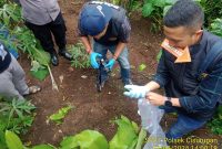 Lokasi penemuan bayi yang dikubur dengan sengaja