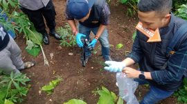 Lokasi penemuan bayi yang dikubur dengan sengaja