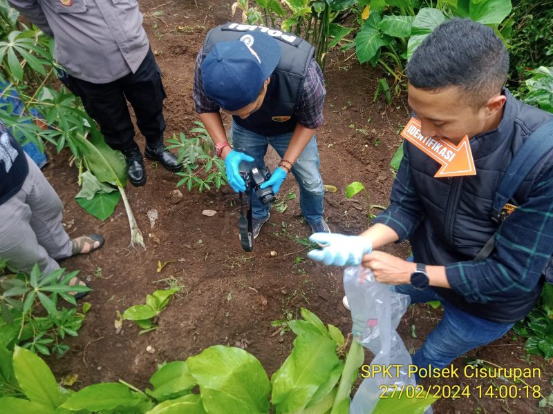 Lokasi penemuan bayi yang dikubur dengan sengaja