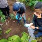 Lokasi penemuan bayi yang dikubur dengan sengaja