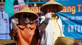 Foto : Pj Bupati Garut Bartnas Adjidin saat penanaman perdana kentang Upland Project