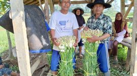 Foto : Petani sedam malam di lokasi TMMD ke-120