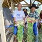 Foto : Petani sedam malam di lokasi TMMD ke-120