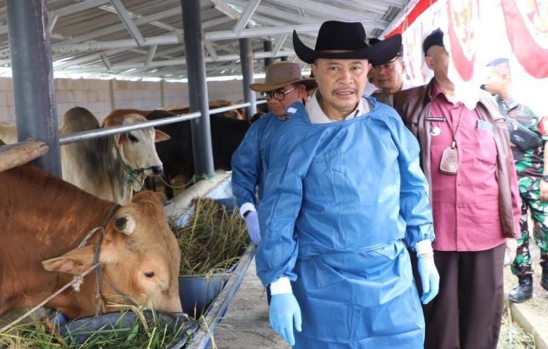 Foto : Pj Bupati Garut H Barnas Adjidin cek hewan ternak sapi milik H Utang