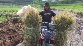 Foto : Warga kampung Buleud saat melintasi jalan yang dibangun TMMD Kodim 0611/Garut
