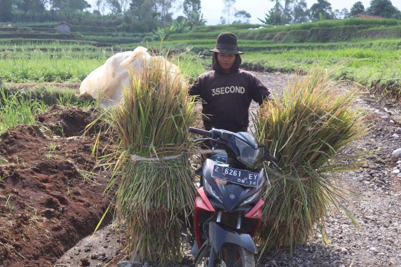 Foto : Warga kampung Buleud saat melintasi jalan yang dibangun TMMD Kodim 0611/Garut