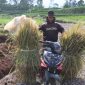 Foto : Warga kampung Buleud saat melintasi jalan yang dibangun TMMD Kodim 0611/Garut