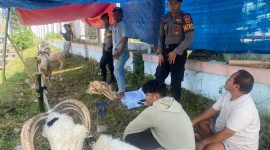 Foto : Himbauan polres garut kepada penjual ternak hewan kurban