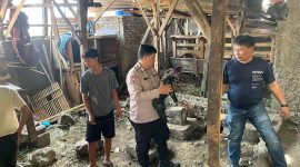 Penggerebekan sabung ayam di Leles (Foto:Istimewa)