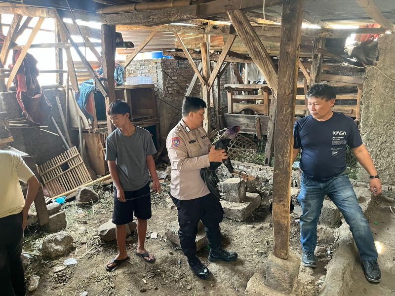 Penggerebekan sabung ayam di Leles (Foto:Istimewa)