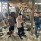 Penggerebekan sabung ayam di Leles (Foto:Istimewa)