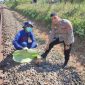 Petugas Polsek Cibatu saat olah TKP, (Foto :Istimewa)