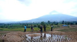 Lokasi meninggalnya Rapi yang tersambar petir, (Foto:Istimewa).
