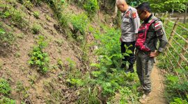 Lokasi penemuay bayi yang baru lahir,(Foto:Istimewa).