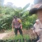 Polsek Cibiuk melakukan pendampingan terhadap kelompok wanita tani Murni Asri di Kampung Sirnagalih Desa Cibiuk Kecamatan Cibiuk, Kabupaten Garut. Jumat (13/12/2024).
