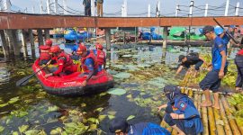 Dalam rangka Hari Jadi ke-212 Kabupaten Garut (HJG), sejumlah instansi pemerintah bersama relawan menggelar aksi pembersihan eceng gondok di objek wisata Situ Bagendit, Selasa (11/2/2025) pagi.