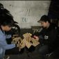 Dalam rangka menjaga ketertiban dan keamanan masyarakat, Polres Garut melalui Sat Res Narkoba menggelar kegiatan Operasi Cipkon Razia Miras (Minuman Beralkohol) untuk mengantisipasi gangguan Kamtibmas yang mungkin timbul.
