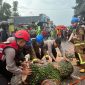 Sebuah pohon besar tumbang di Jalan Raya Samarang, Kampung Cireungit, Desa Mekargalih, Kecamatan Tarogong Kidul, Kabupaten Garut. Kamis Pukul 16.00 (13/03/2025).