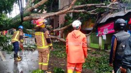 Cuaca ekstrem berupa angin kencang dan hujan deras melanda sejumlah wilayah di Kabupaten Garut pada Kamis (13/3/2025) sore. Akibatnya, puluhan rumah mengalami kerusakan, sementara longsor di Kecamatan Limbangan menghambat akses jalan nasional.