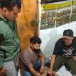 Dalam upaya menjaga ketertiban dan kesucian Bulan Suci Ramadhan, Satuan Reserse Narkoba (Sat Narkoba) Polres Garut kembali melakukan razia minuman keras (miras) di berbagai titik di wilayah Kabupaten Garut.